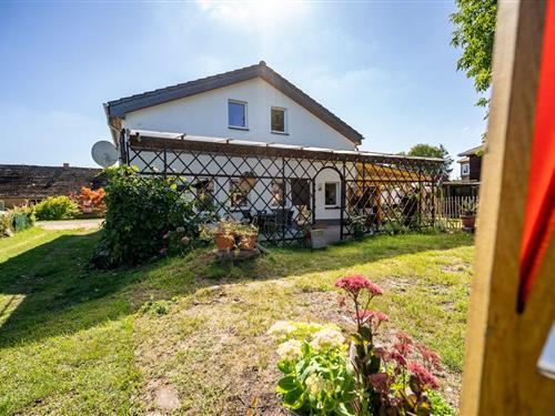 Feriehus / leilighet - 6 personer -  - Starsow - 17252 - Mirow