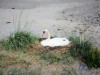 Bild 20