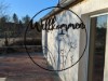 Bild 3 - Ude