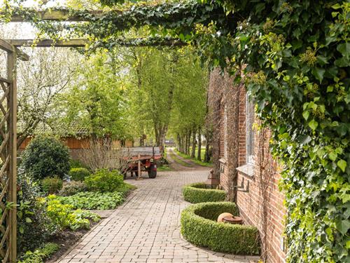 Ferielejlighed - 7 personer -  - Oldendorferstraße - 26835 - Schwerinsdorf