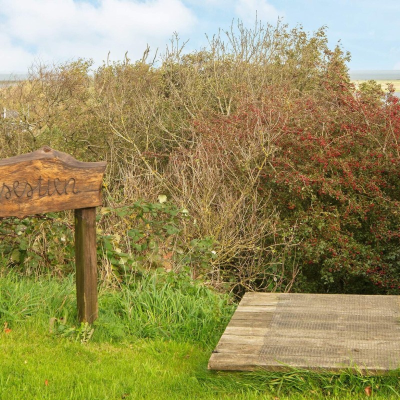 Ferienhaus - 6 Personen -  - Myntevej - Gjellerodde - 7620 - Lemvig