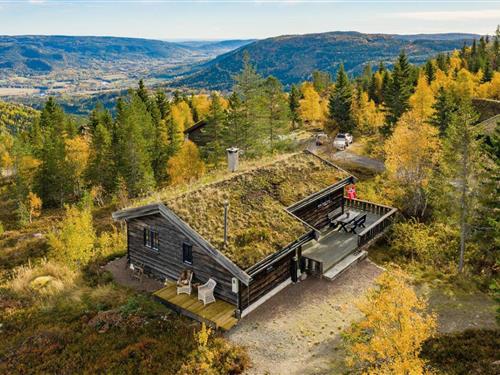 Fritidshus - 6 personer -  - Middagslia - Skrim, Omholtfjell - 3648 - Passebekk