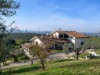 Billede 1