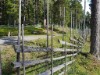 Bild 16