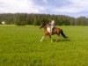 Bild 16 - Ude