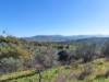 Billede 28
