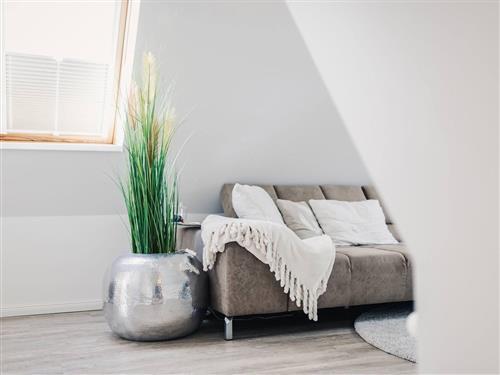 Ferieleilighet - 2 personer -  - Zum Frankenhof - 18374 - Zingst / Ostseebad Zingst