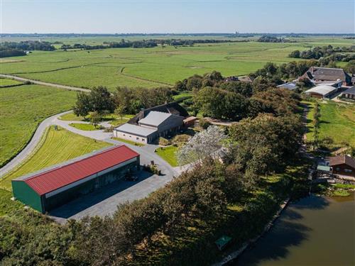 Ferieleilighet - 4 personer -  - Tholendorf - 25881 - Tating