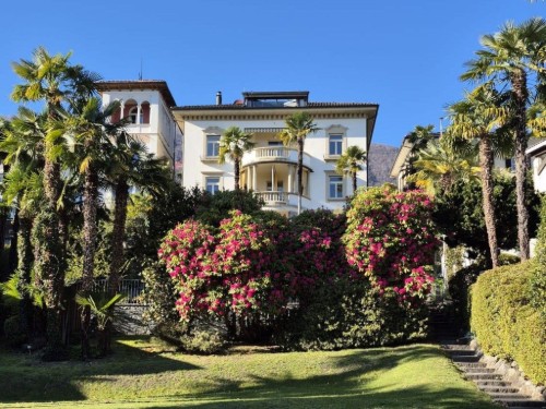 Ferienwohnung - 4 Personen -  - 6648 - Minusio