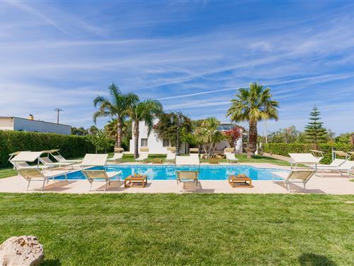 Sommerhus - 4 personer -  - Contrada Poggioreale - 72019 - Contrada Poggioreale