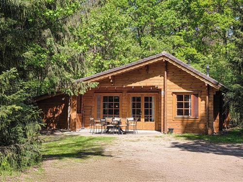 Sommerhus - 8 personer -  - Aaftinksdijk - 7161 MM - Neede