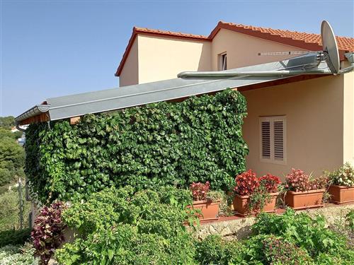 Ferielejlighed - 5 personer -  - Sali IX - 23281 - Sali