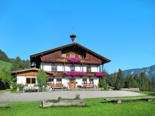 Holiday home - 41 persons -  - 6311 - Wildschönau