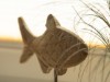 Bild 22
