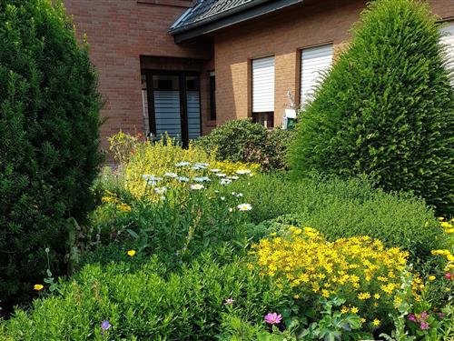 Ferielejlighed - 2 personer -  - Allensteiner Straße - 49762 - Lathen