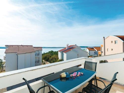 Holiday apartment - 4 persons -  - Vidalici - Pag-Novalja - 53296 - Vidalici