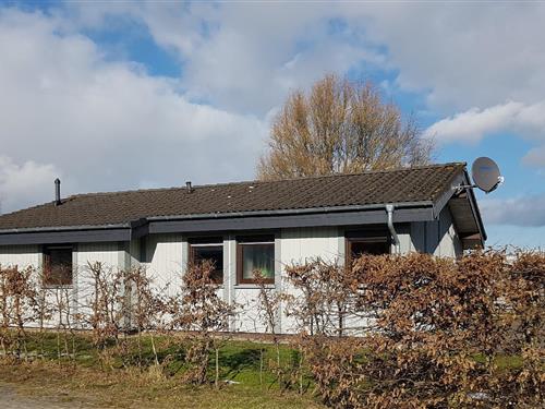 Holiday Home/Apartment - 5 persons -  - Großwürderweg - 26969 - Eckwarderhörne