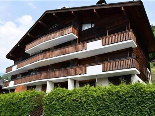 Semesterhus/Semesterlägenhet - 4 personer -  - 74450 - Le Grand Bornand