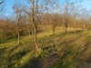 Image 9 - Outside