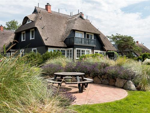 Sommerhus - 8 personer -  - Bauernreihe - 18347 - Ostseebad Ahrenshoop