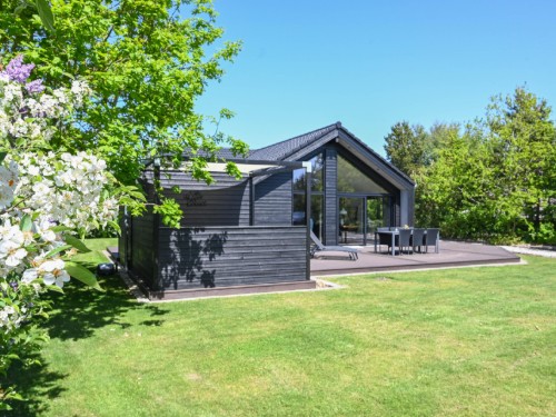 Fritidshus - 6 personer -  - Erantisvej - Nr. Hede Vest - 6990 - Ulfborg