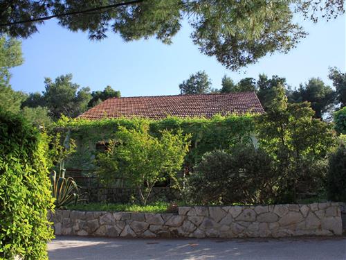 Ferieleilighet - 4 personer -  - Uvala Mudri Dolac 406, Basina - 21462 - Vrbanj