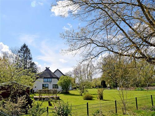 Ferieleilighet - 8 personer -  - OT Woorke Nr. - 18528 - Patzig