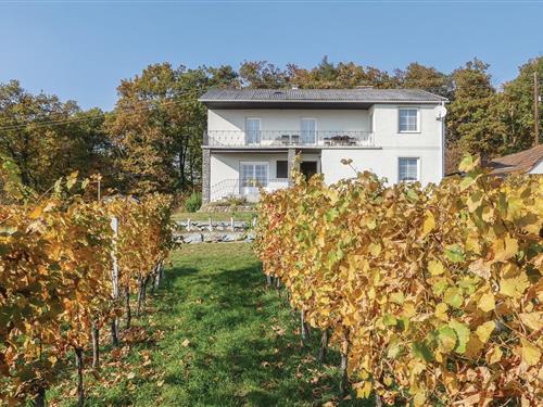 Ferienhaus - 10 Personen -  - Bergstrasse - 7474 - Eisenberg