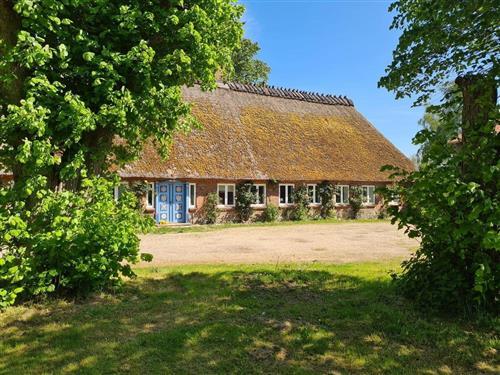 Feriehus - 6 personer -  - Hauptstraße - 24975 - Husby Ot Markerup