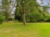 Billede 42 - Grund