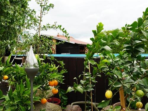 Holiday apartment - 2 persons -  - Turnerstr. - 16356 - Neu Lindenberg