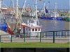 Billede 25