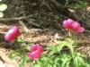 Image 26 - Outside