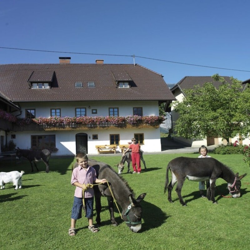 Sommerhus - 4 personer -  - 9602 - Hohenthurn