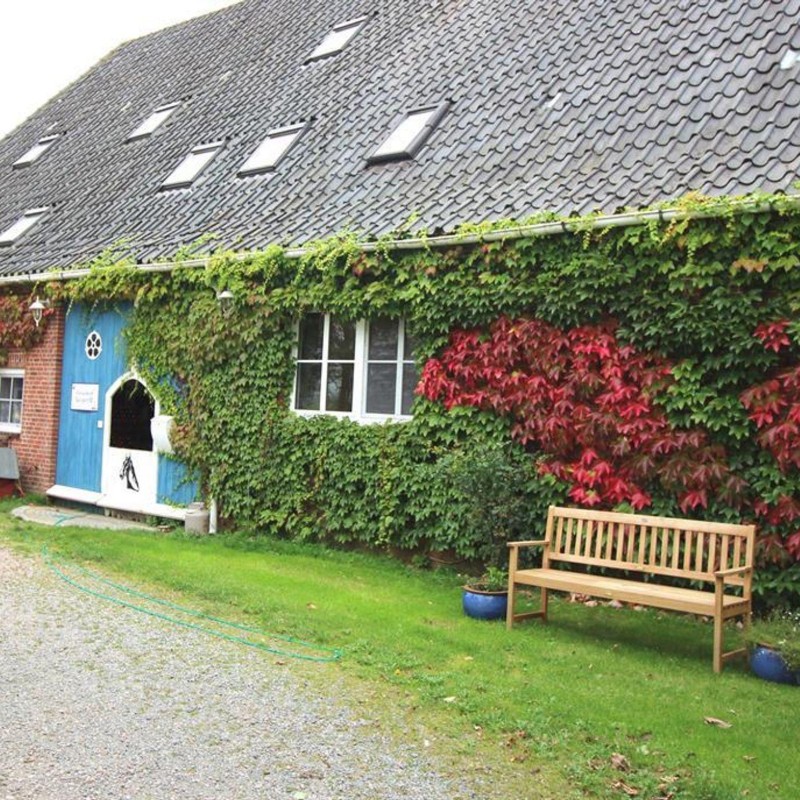 Bondegård - 6 personer -  - Kantorsweg - 25882 - Tetenbüll