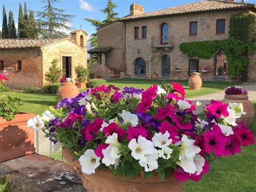 Ferielejlighed - 4 personer -  - Chiusi - 53043