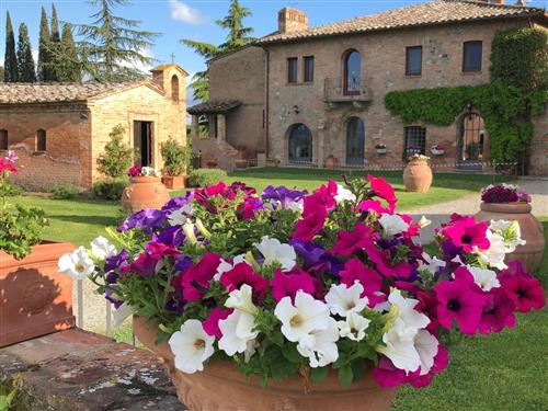 Holiday apartment - 4 persons -  - Chiusi - 53043