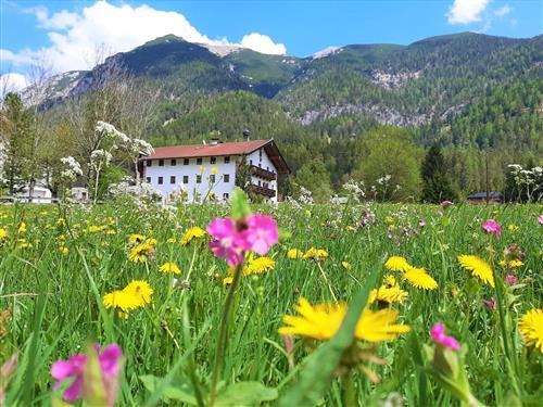 Sommerhus - 5 personer -  - Achenseestraße - 6215 - Achenkirch