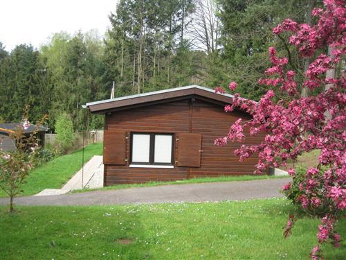 Semesteranläggning - 5 personer -  - Hohlgasse - 76857 - Gossersweiler-Stein