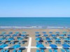 Bilde 15