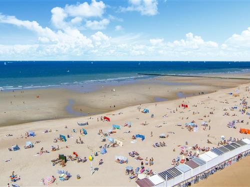 Ferielejlighed - 4 personer -  - Koningsstraat 19 - - 8400 - Oostende