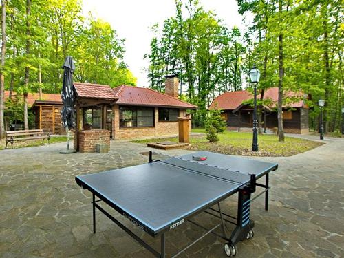 Sommerhus - 10 personer -  - Gustelnica - Velika Gorica-Gustelnica - 10418 - Gustelnica