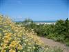 Bild 27 - Aussen