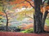 Bild 23