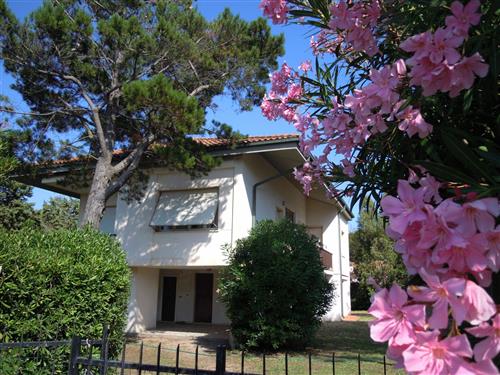 Holiday Home/Apartment - 8 persons -  - 58015 - Giannella