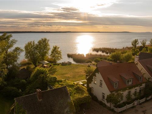 Feriehus - 8 personer -  - Peeneweg - 17406 - Rankwitz