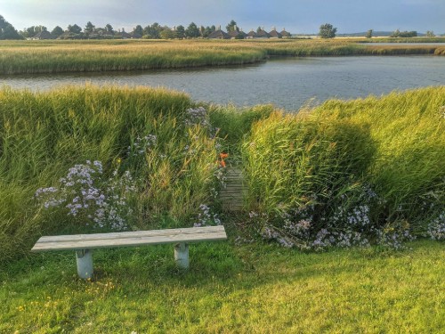 Fritidshus - 6 personer -  - Kildeengen - Karrebæksminde - 4736 - Southwest Zealand