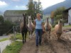 Billede 4