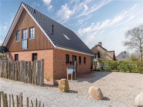 Sommerhus - 6 personer -  - St. Peter-Ording - 25881