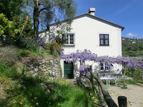 Sommerhus - 9 personer -  - 16043 - Chiavari